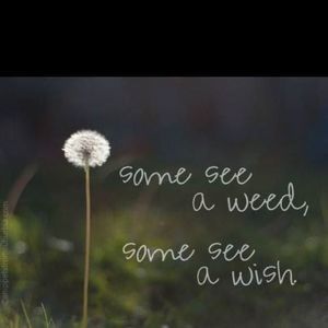 Meet your Posher, Jen